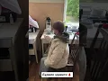 Download Lagu Ілонка потрапила до лікарні 😳