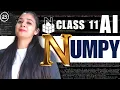 Python NumPy Python Class 11 AI - 843 Unit 3 Python Programming