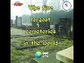 The five largest cemeteries in the world 🌍| The Omniknowledge ✨#largestcemeteries #cemetery #shorts