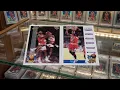 Sold 1993-94 Upper Deck Pro-View 3D Michael Jordan Self-Graded Sports Cards