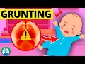 Download Lagu Infant Grunting Respiratory Distress | Medical Overview