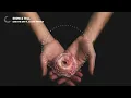 Said The Sky - Show & Tell ft. Claire Ridgely