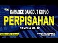 Download Lagu PERPISAHAN KARAOKE NADA PRIA - CAMELIA MALIK (VERSI DANGDUT KOPLO