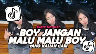 dj boy jangan malu malu boy malu malu dia elart remix full song viral tiktok 2026
