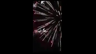 أنا الدسوقى بروقى فى السما لمعت   عثمان الجاك دندنها