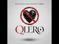 QLERO