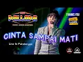 Download Lagu NEW PALLAPA - CINTA SAMPAI MATI. LARA SILVY (DHEHAN AUDIO)