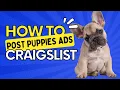 How To Sell Puppies On Craigslist Without Getting Flagged - 2024