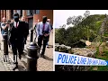 Download Lagu They Cut Down a Sycamore Tree. Now They Have a 4-Year Prison Term | WSJ News