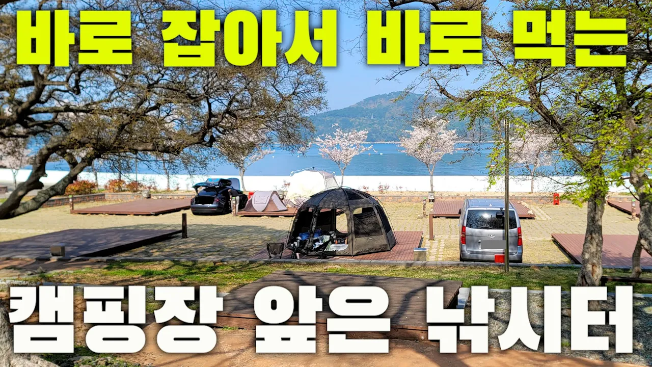 아내가 깜짝 놀란 횟감은 캠핑장 바로 앞에서 잡았지요 풉 썸네일