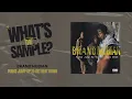 Brand Nubian - Punks Jump Up To Get Beat Down (Whats The Sample?) #whatsthesample