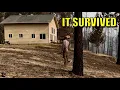 My House Survived a Wildfire Here s What Actually Saved It