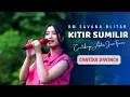 Download Lagu KITIR SUMILIR - CANTIKA DAVINCA - OM SAVANA BLITAR \\\\ KAESAR AUDIO