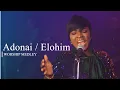 Download Lagu ADONAI // ELOHIM . WORSHIP MEDLEY - Debbie Grant
