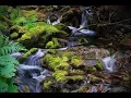 Eutrophication Explained by Graduate Students