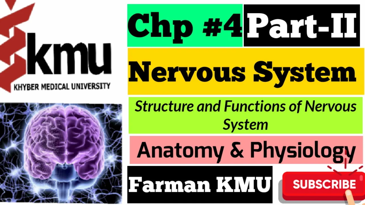 Nervous system Part-II Brain structure and function||Anatomy and Physiology With MCQS By Farman KMU.