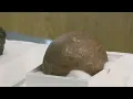 NY State Museum takes dino egg to hospital