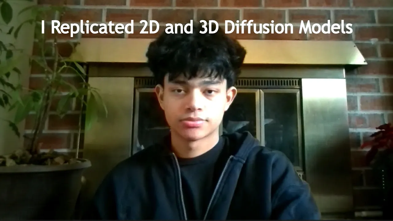 How I Replicated 2D and 3D Diffusion Models