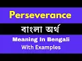 Perseverance Meaning In