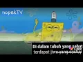 Spombob squerpen