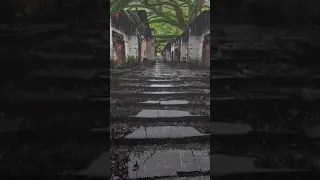 تساقط الأمطار روعة حالات واتس اب قصيره عن الشتاء والمطر وصوت المطر 