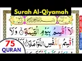 Download Lagu Quran 75: Surah Al Qiyamah, सूरह अल-कियामा -  سورة القيامة - Color Coded Arabic by Muhammad Salih
