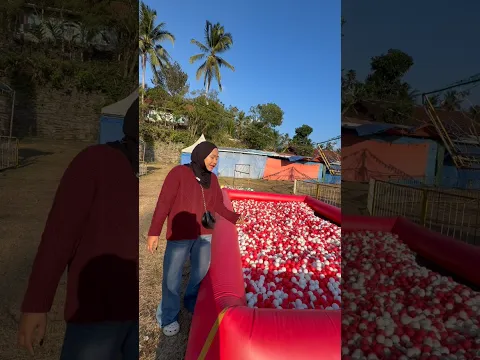 DI PASAR MALAM ADA APA AJA YA #shortvideo