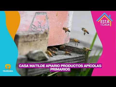 Casa Matilde Apiario productos apícolas primarios