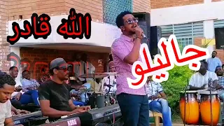محمد عبد الجليل الله قادر حفله 