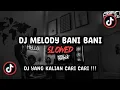 DJ MELODY BANI BANI SLOWED SOUND Caro VIRAL TIK TOK TERBARU 2024 !!!