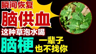 这种草泡水喝，瞬间恢复脑供血，脑梗一辈子也不找你【养生有道】