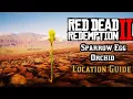 Sparrow Egg Orchid - Location Guide Red Dead Redemption 2