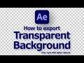 After Effects Export Transparent Background in MP4 and MOV with Alpha Channel