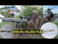 Download Lagu Berburu BELIBIS PIULU \