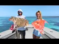 Sharked on EVERY Catch I Almost QUIT Charter Fishing