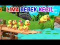 Lagu Lima Bebek Kecil Pergi Main 🦆❤️💚 Lagu Anak Indonesia Balita Viral