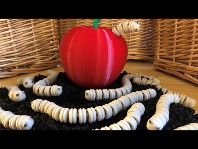 Fidget Worms video thumbnail
