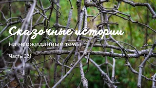 Часть 621 Жертва 