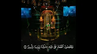 ويطعمون الطعام على حبه مسكينا ويتيما واسيرا القارئ السيد هاني الموسوي 