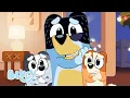 Bluey in Hindi Holiday Story Time Hindi Cartoon for Kids