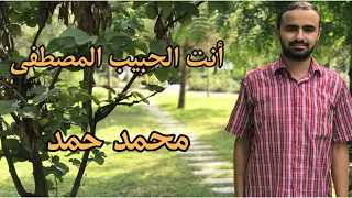 انت الحبيب المصطفى   محمد حمد دندنها