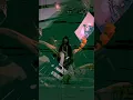 【aikoさんの新曲 “あなたの花の色" を弾いてみた】Anata no Hana no iro by aiko (Bass)