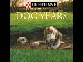 Dog Years