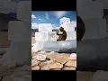 Download Lagu This Monkey Create Igloo Home In So Hot Desert This Monkey And Pig Creating A Igloo