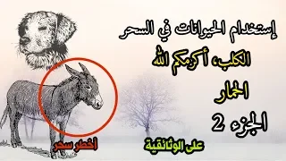 إستخدام الحيوانات في السحر الجزء 2 العالم الآخر 