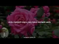 Download Lagu Wanita itu seperti bunga