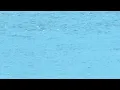 Sauk Co s identify missing swimmer found dead in Wisconsin River