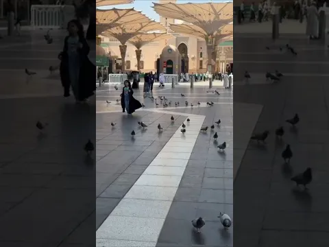 حمام الحرم  من  العجائب التي تذهل الاطفال عند زيارة  مكة