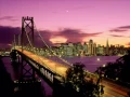 Download Lagu San Francisco Scott McKenzie