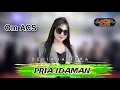 Download Lagu PRIA IDAMAN - DEVIANA FERA - OM ACS